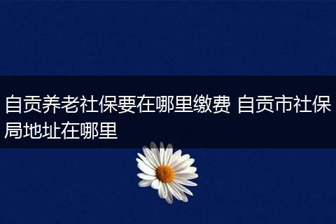 自贡养老社保要在哪里缴费 自贡市社保局地址在哪里