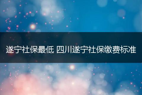 遂宁社保最低 四川遂宁社保缴费标准
