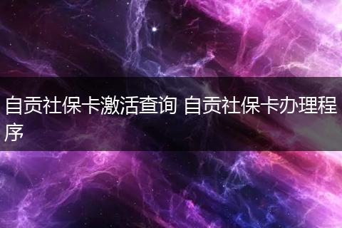 自贡社保卡激活查询 自贡社保卡办理程序