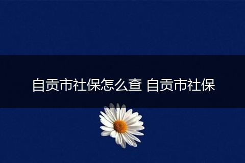 自贡市社保怎么查 自贡市社保