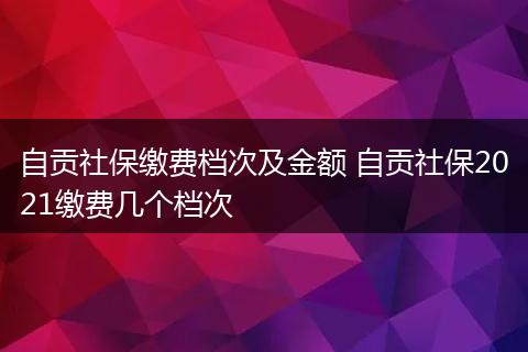 自贡社保缴费档次及金额 自贡社保2021缴费几个档次