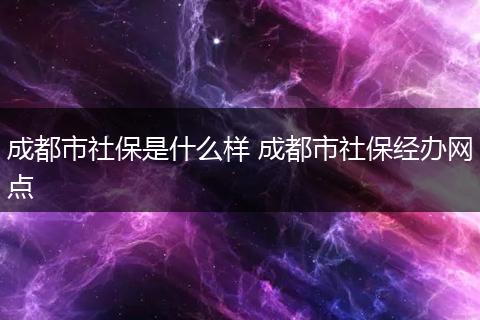 成都市社保是什么样 成都市社保经办网点