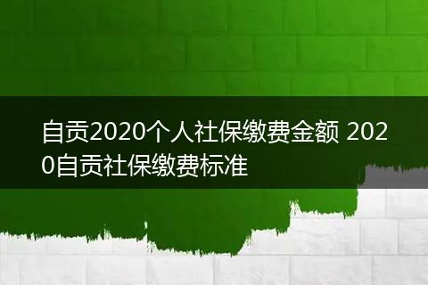 自贡2020个人社保缴费金额 2020自贡社保缴费标准