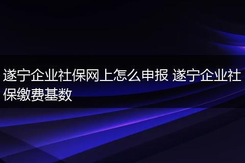 遂宁企业社保网上怎么申报 遂宁企业社保缴费基数