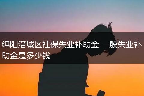 绵阳涪城区社保失业补助金 一般失业补助金是多少钱