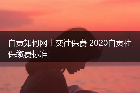 自贡如何网上交社保费 2020自贡社保缴费标准