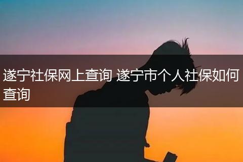 遂宁社保网上查询 遂宁市个人社保如何查询