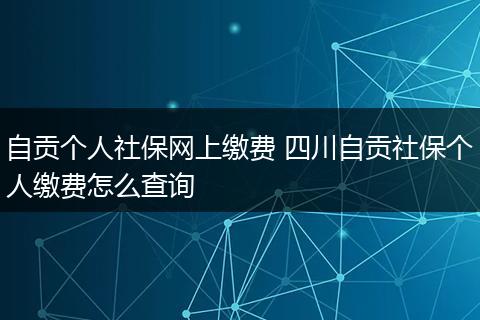自贡个人社保网上缴费 四川自贡社保个人缴费怎么查询
