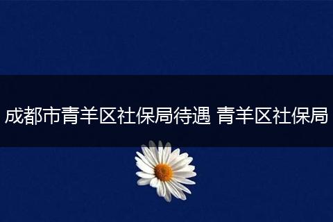 成都市青羊区社保局待遇 青羊区社保局