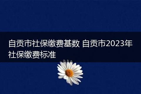 自贡市社保缴费基数 自贡市2023年社保缴费标准