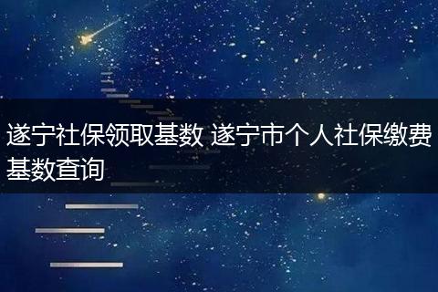 遂宁社保领取基数 遂宁市个人社保缴费基数查询