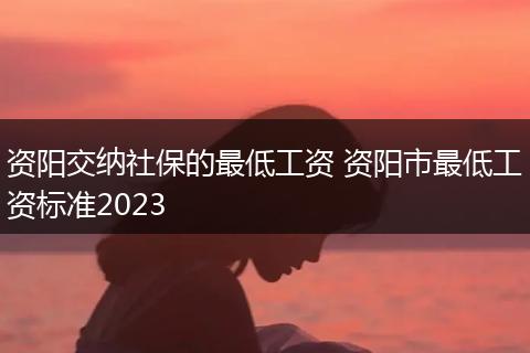 资阳交纳社保的最低工资 资阳市最低工资标准2023