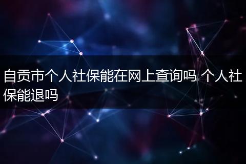 自贡市个人社保能在网上查询吗 个人社保能退吗