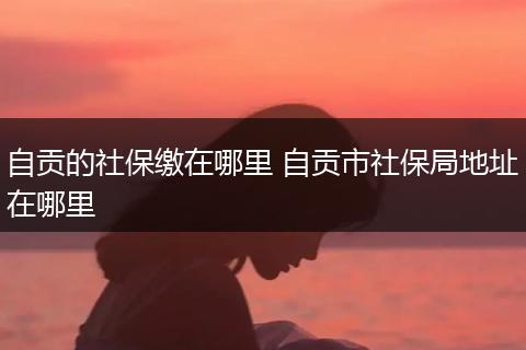 自贡的社保缴在哪里 自贡市社保局地址在哪里