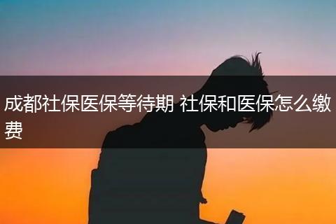 成都社保医保等待期 社保和医保怎么缴费