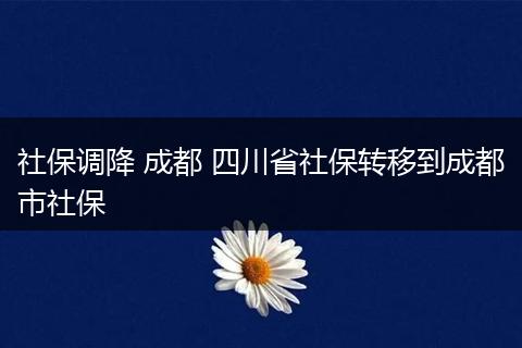 社保调降 成都 四川省社保转移到成都市社保