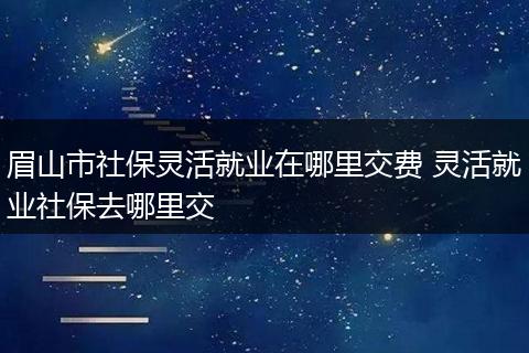 眉山市社保灵活就业在哪里交费 灵活就业社保去哪里交