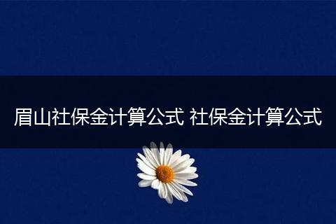 眉山社保金计算公式 社保金计算公式