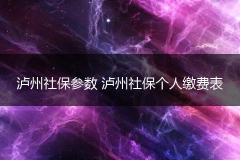 泸州社保参数 泸州社保个人缴费表