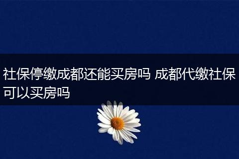 社保停缴成都还能买房吗 成都代缴社保可以买房吗