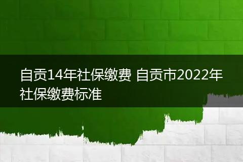 自贡14年社保缴费 自贡市2022年社保缴费标准