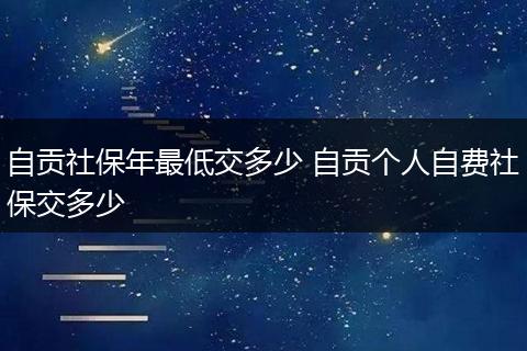 自贡社保年最低交多少 自贡个人自费社保交多少