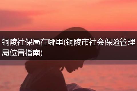 铜陵社保局在哪里(铜陵市社会保险管理局位置指南)