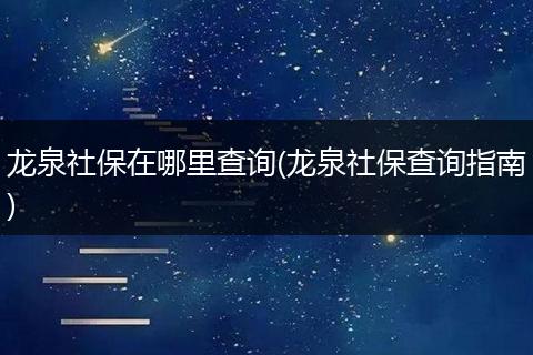 龙泉社保在哪里查询(龙泉社保查询指南)