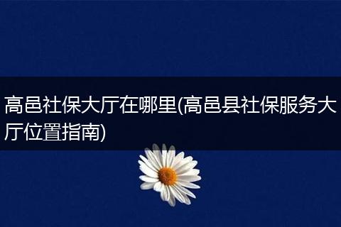 高邑社保大厅在哪里(高邑县社保服务大厅位置指南)