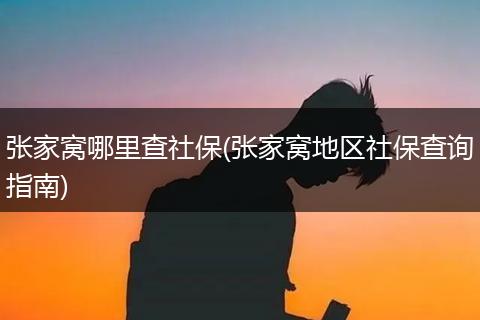 张家窝哪里查社保(张家窝地区社保查询指南)