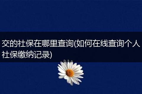 交的社保在哪里查询(如何在线查询个人社保缴纳记录)