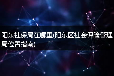 阳东社保局在哪里(阳东区社会保险管理局位置指南)