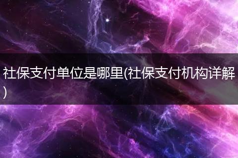 社保支付单位是哪里(社保支付机构详解)