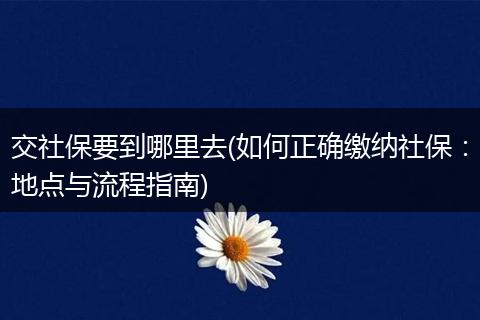 交社保要到哪里去(如何正确缴纳社保：地点与流程指南)