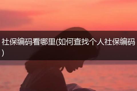 社保编码看哪里(如何查找个人社保编码)
