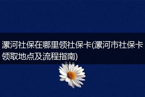 漯河社保在哪里领社保卡(漯河市社保卡领取地点及流程指南)