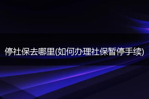 停社保去哪里(如何办理社保暂停手续)