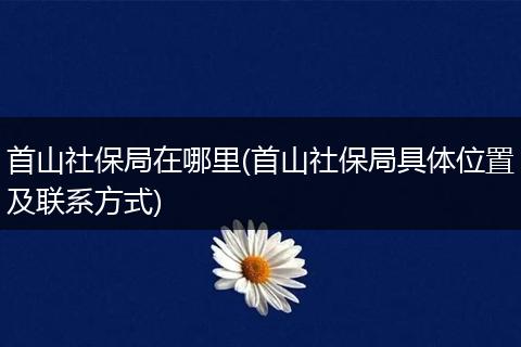 首山社保局在哪里(首山社保局具体位置及联系方式)