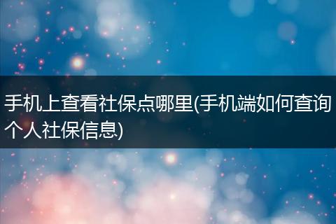 手机上查看社保点哪里(手机端如何查询个人社保信息)