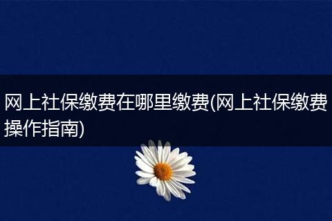 网上社保缴费在哪里缴费(网上社保缴费操作指南)