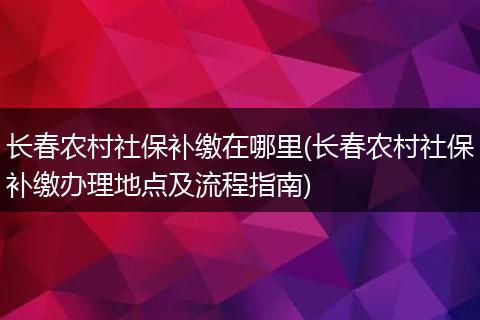长春农村社保补缴在哪里(长春农村社保补缴办理地点及流程指南)