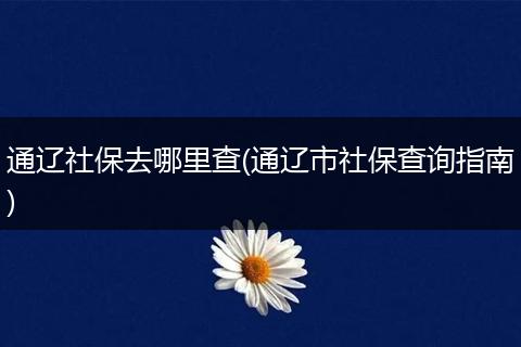 通辽社保去哪里查(通辽市社保查询指南)