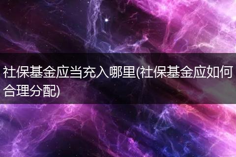 社保基金应当充入哪里(社保基金应如何合理分配)
