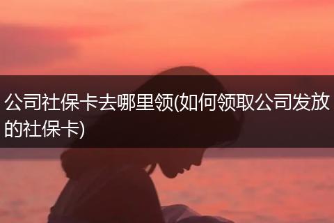 公司社保卡去哪里领(如何领取公司发放的社保卡)