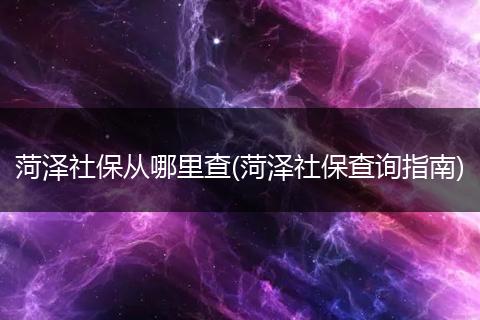 菏泽社保从哪里查(菏泽社保查询指南)