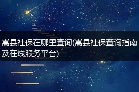 嵩县社保在哪里查询(嵩县社保查询指南及在线服务平台)