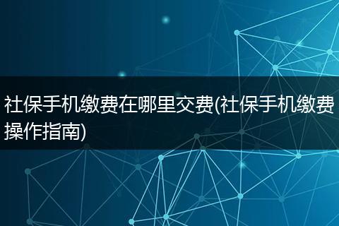 社保手机缴费在哪里交费(社保手机缴费操作指南)