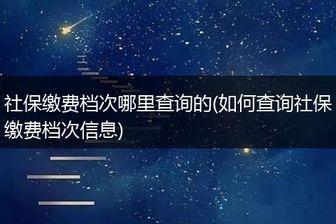 社保缴费档次哪里查询的(如何查询社保缴费档次信息)
