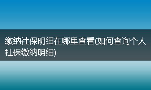 缴纳社保明细在哪里查看(如何查询个人社保缴纳明细)