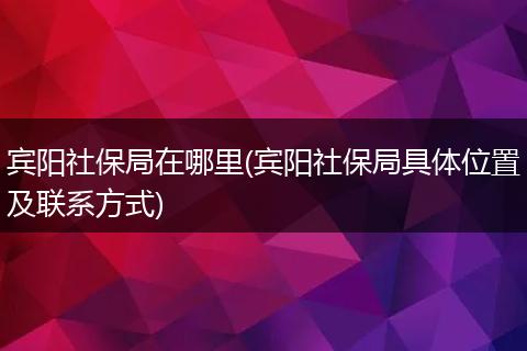 宾阳社保局在哪里(宾阳社保局具体位置及联系方式)